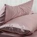 100% Natural Mulberry Silk Pillow Case Protects Hair and Skin - Nexellus