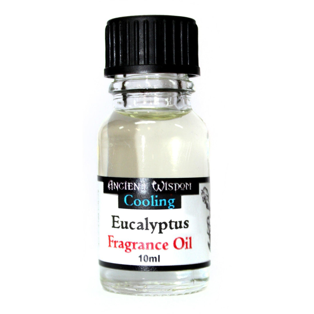 10ml Eucalyptus Fragrance Oil - Per case: 1 Piece - Nexellus