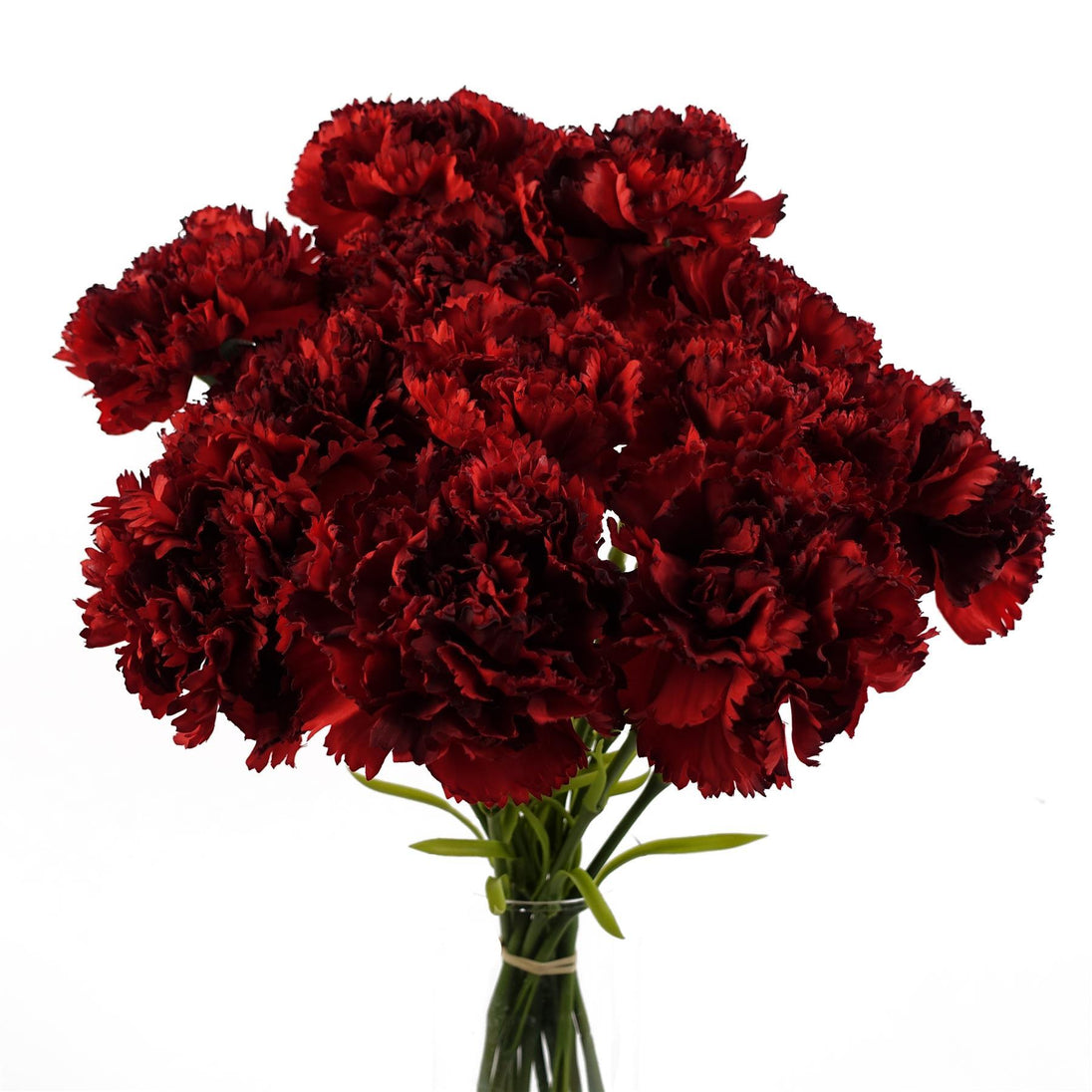 12 x Red Carnation Artificial Flowers - Nexellus