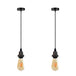 2 Pack Vintage Industrial Black Pendant Light,lampshade E27 UK Holder - Nexellus