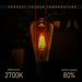 2Pack E27 LED Edison Dimmable Vintage Amber Glass Warm white 2700K Light Bulb - Nexellus