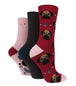 3 Pairs Ladies Cotton Socks | Animals - Nexellus