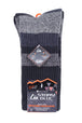 3 Pairs Ladies Padded Sole Cotton Hiking Socks - Nexellus