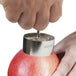 304 stainless steel fruit corer apple corer home stew pear mold corer - Nexellus