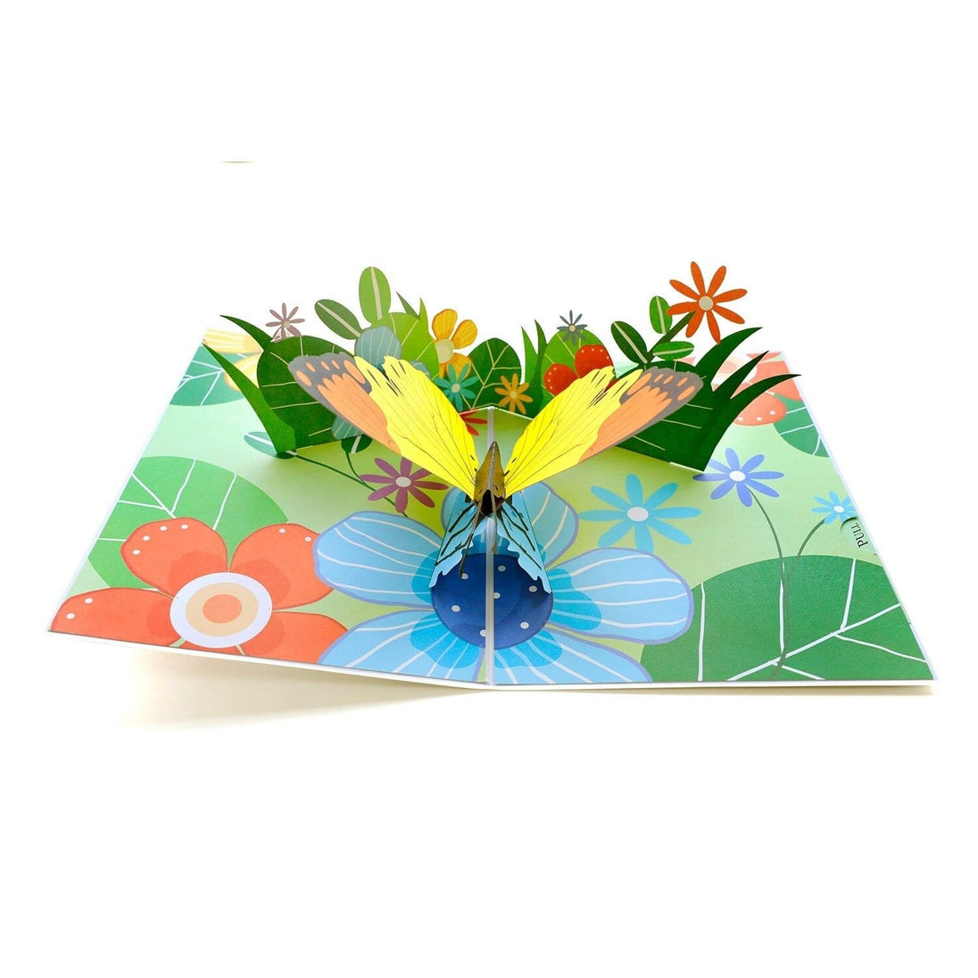 3D Pop Up Butterfly Greeting Card - Nexellus