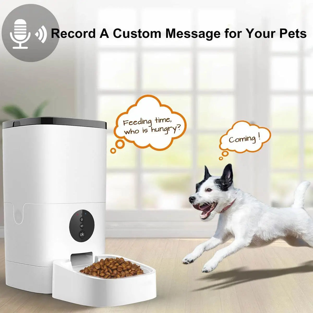 Remote monitoring automatic feeder cat dog food intelligent