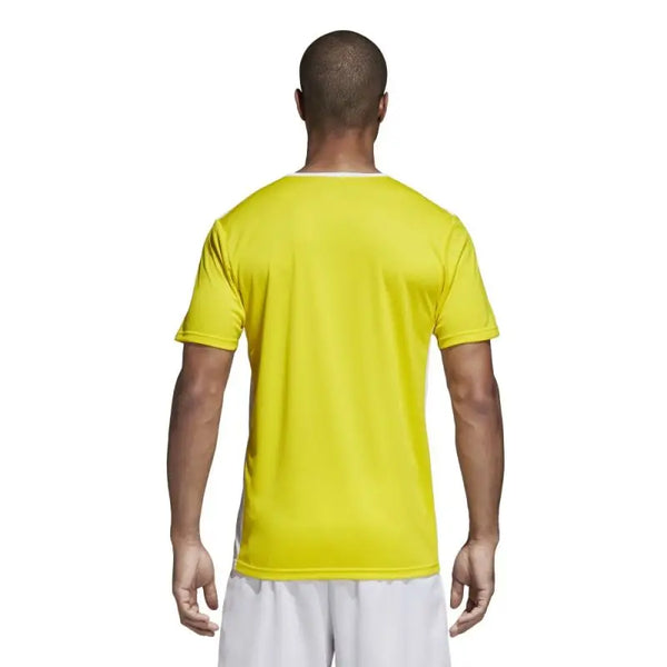 Adidas Entrada 18 football jersey - Nexellus