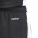 Adidas Tiro 24 Training M P1952 pants - Nexellus