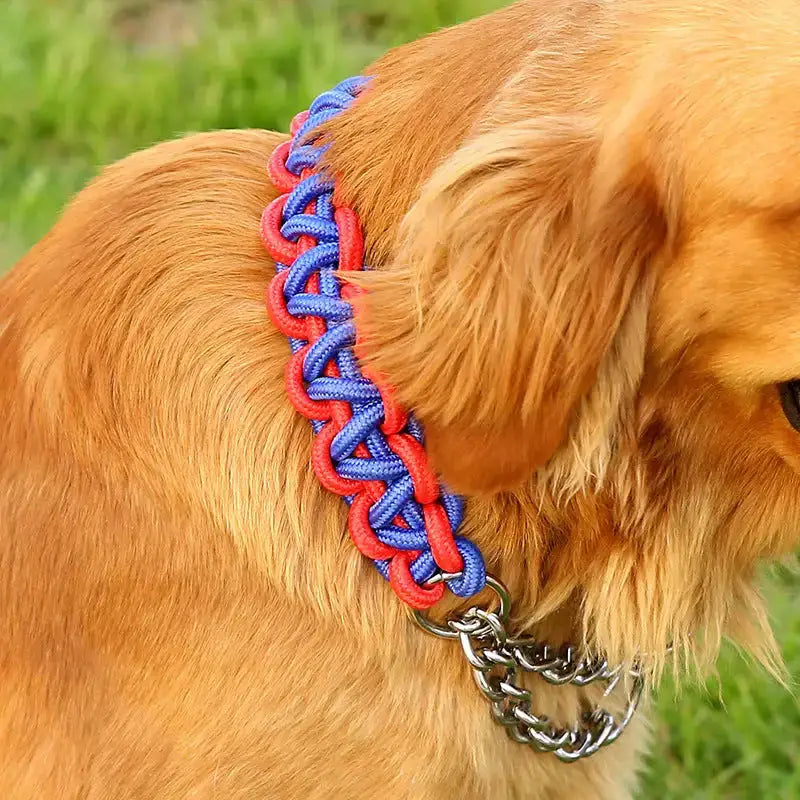 Anti-bite dog chain iron chain big dog traction rope golden retriever Nexellus