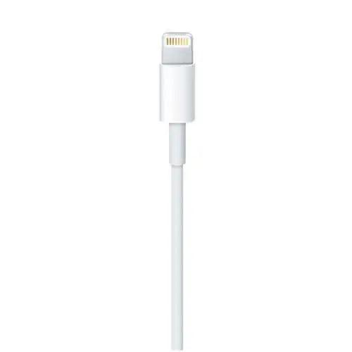 Apple lightning to usb cable (1m)