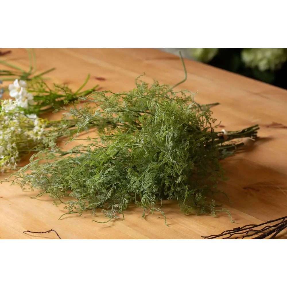 Asparagus fern bunch - Spring Stems