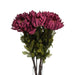 Autumn spider chrysanthemum - Autumn Stems