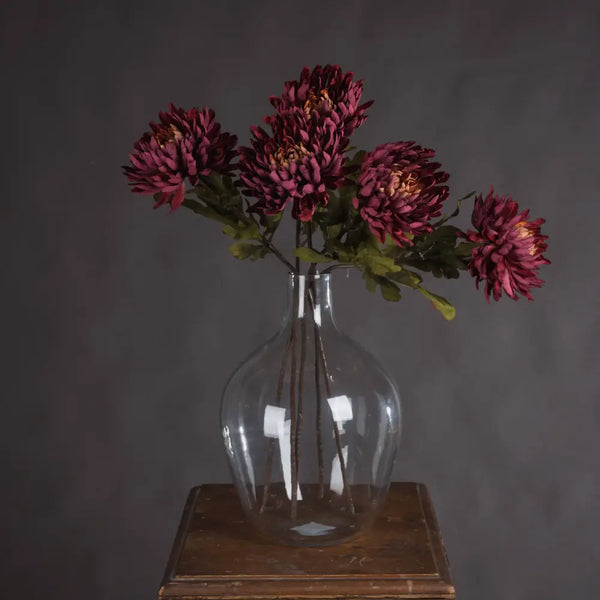 Autumn spider chrysanthemum - Autumn Stems