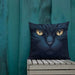 Black cat pillow Nexellus