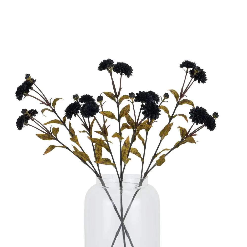 Black chrysanthemum - Autumn Stems