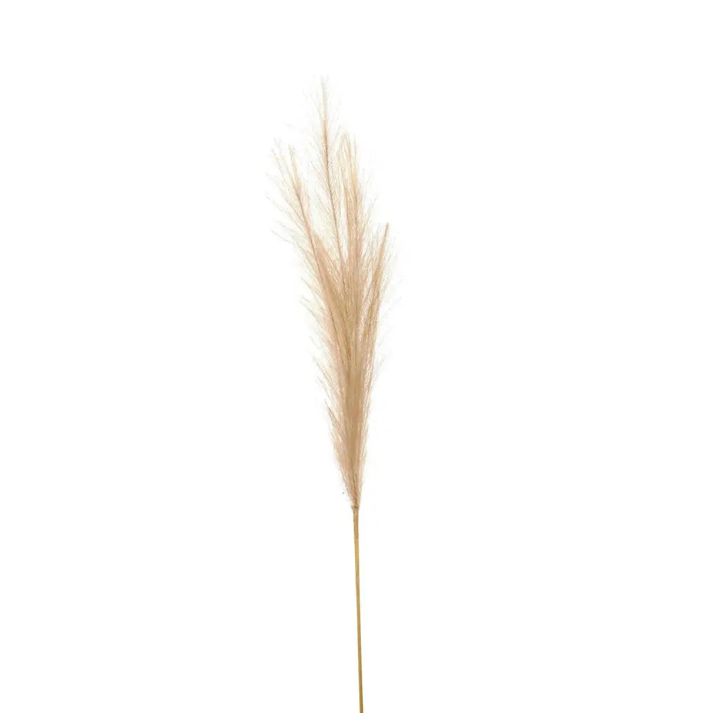 Bleached faux pampas grass stem - Single Stem Flowers