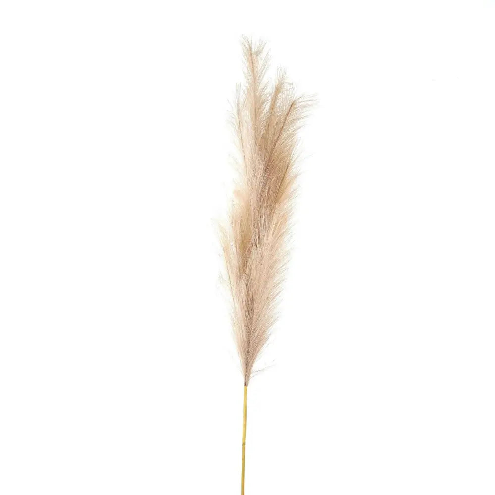 Bleached large faux pampas grass stem - Single Stem Flowers