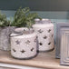 Bloomville stone star lantern - Christmas Candles & Candle