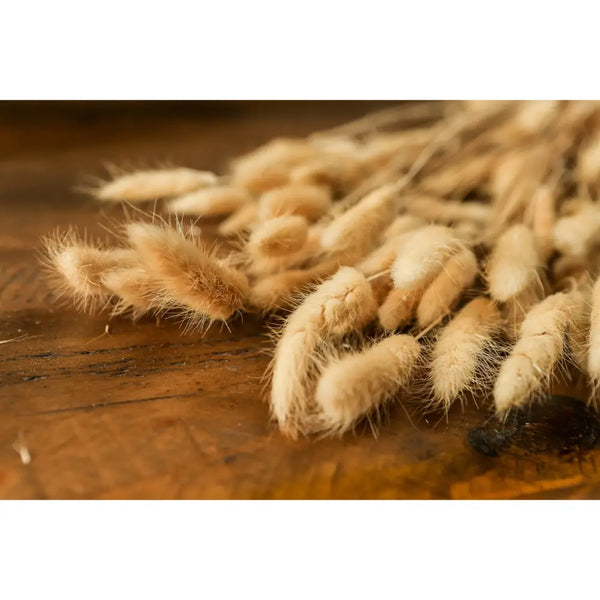 Bouquet of tall bunny tails - Coastal Inspired