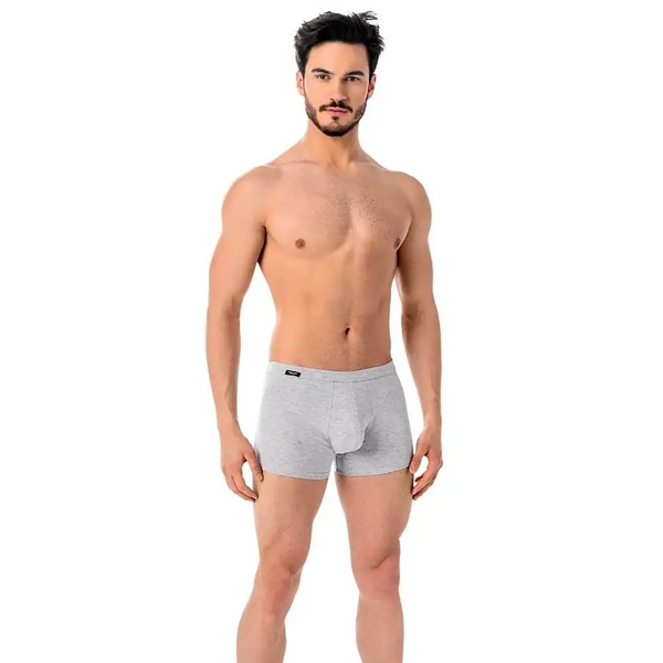 Boxers teyli - grey 2 / L