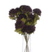 Chocolate chrysanthemum - Autumn Stems