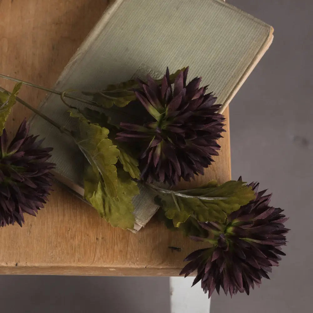 Chocolate chrysanthemum - Autumn Stems