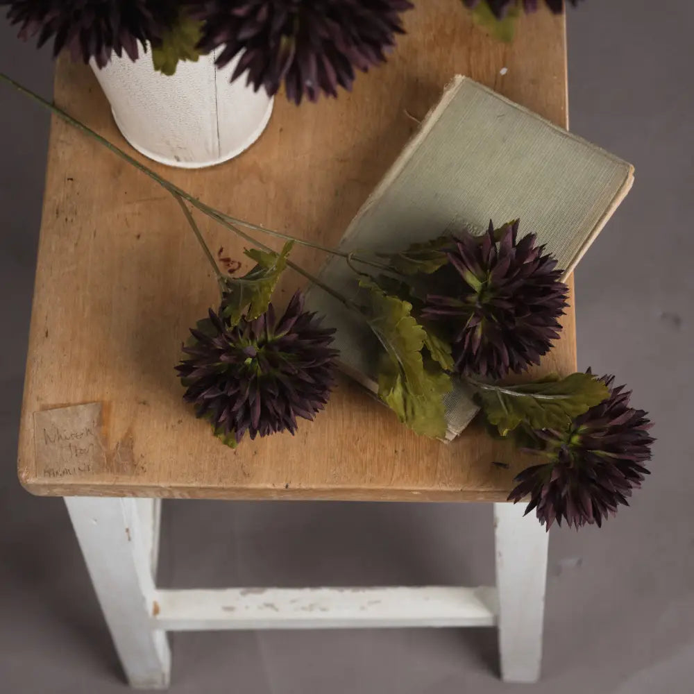 Chocolate chrysanthemum - Autumn Stems