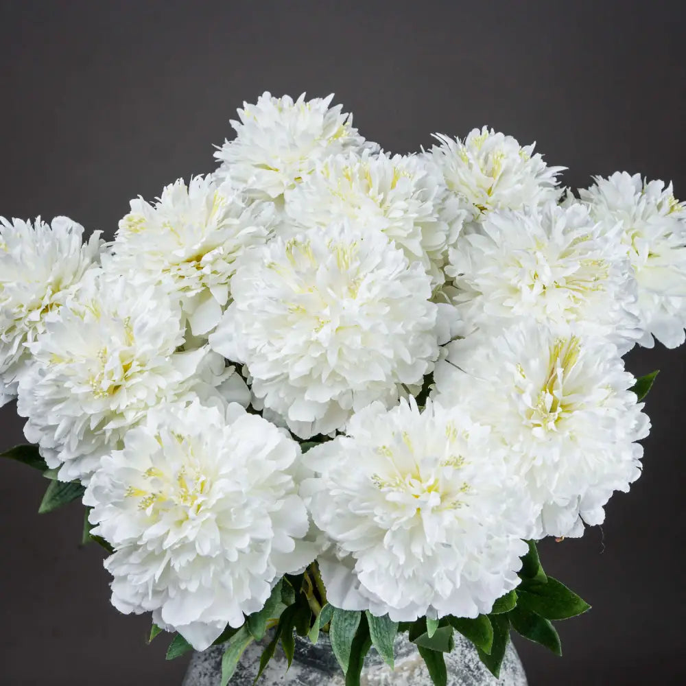 Classic white peony - Spring Stems