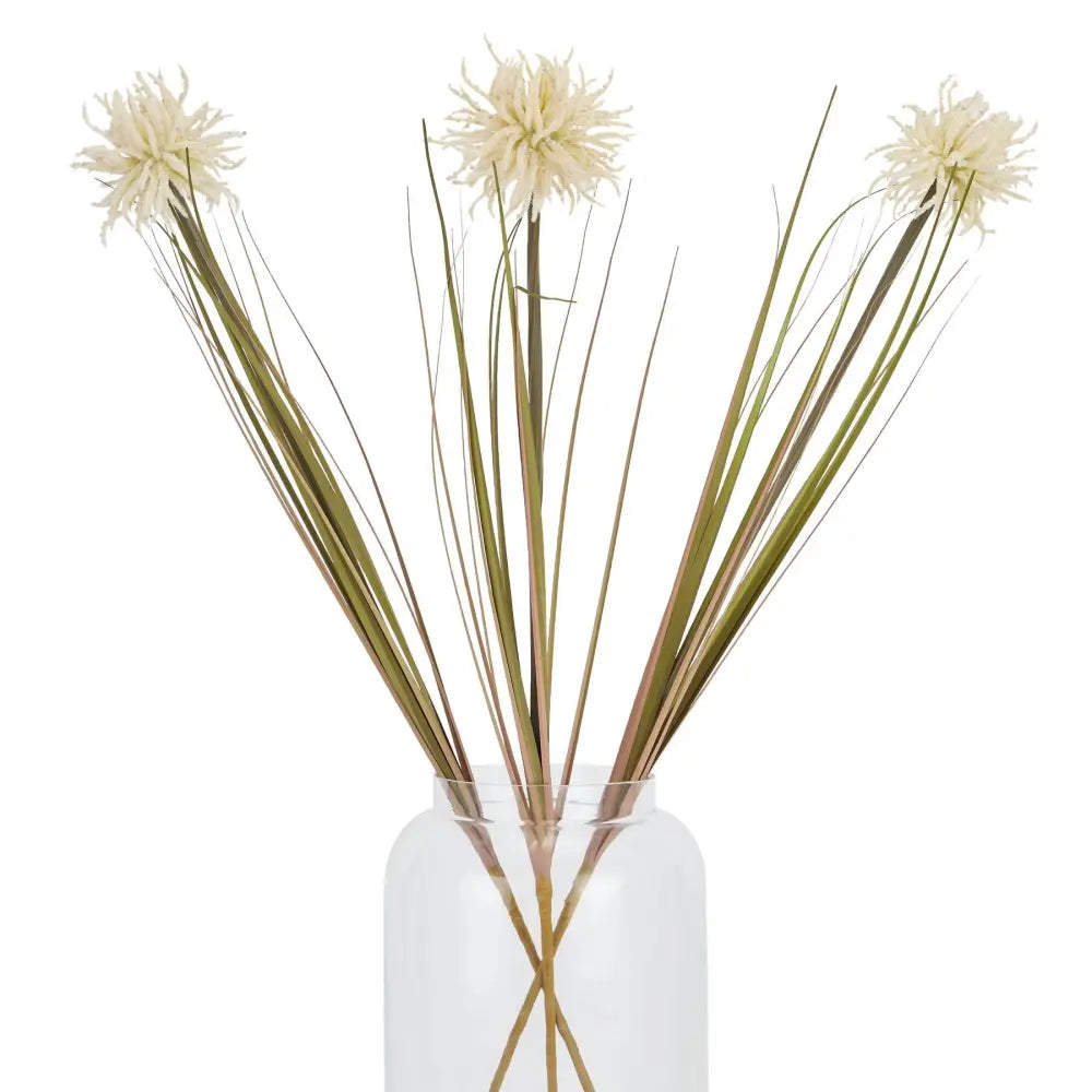 Cream aster spider chrysanthemum stem - Autumn Stems