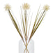 Cream aster spider chrysanthemum stem - Autumn Stems