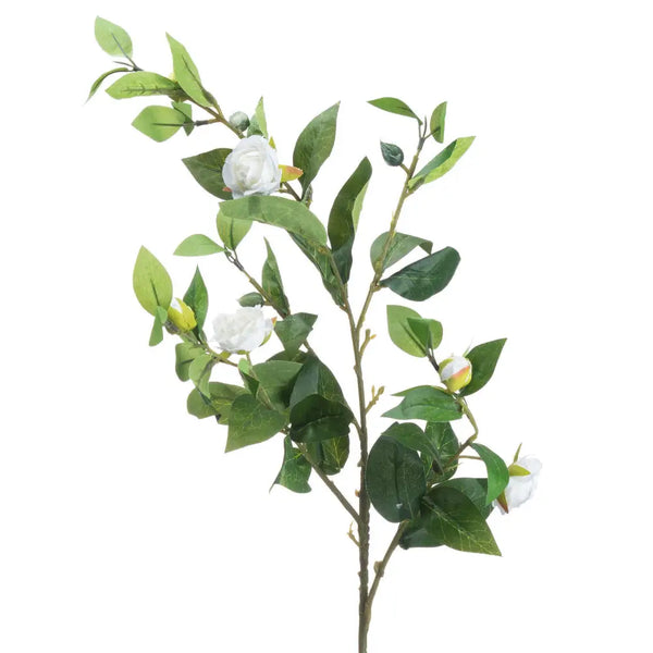 Cream gardenia stem - Single Stem Flowers