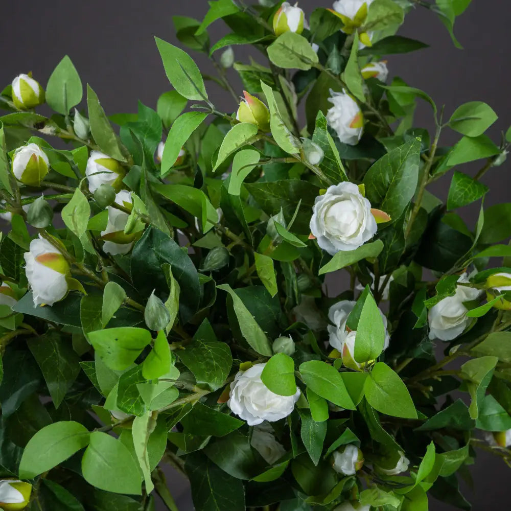 Cream gardenia stem - Single Stem Flowers