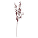 Deep burgundy orchid spray - Autumn Stems