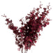 Deep burgundy orchid spray - Autumn Stems