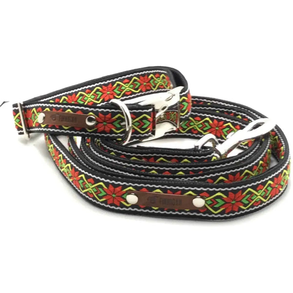 Designer dog collar no. 4l - Medium Set (31-50cm)