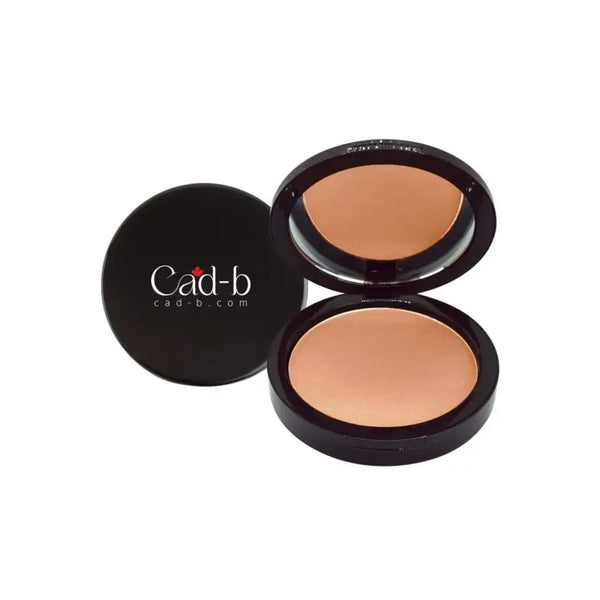 Dual blend powder foundation - birch | matte sleek finish