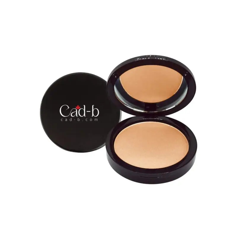 Dual blend powder foundation - breeze wd110 | matte sleek