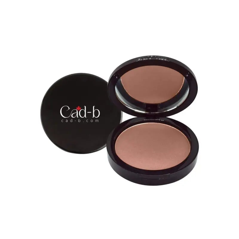 Dual blend powder foundation - ecru wd127 | matte sleek