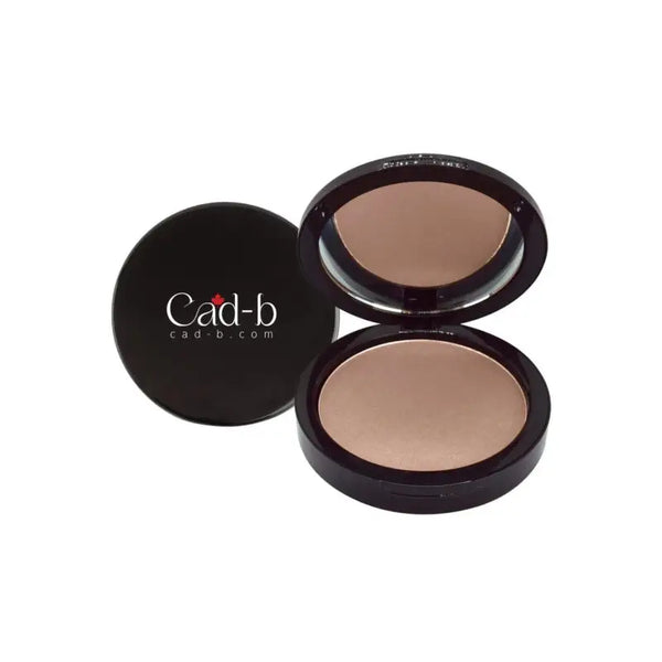 Dual blend powder foundation - french | matte sleek finish