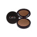 Dual blend powder foundation - gingerbread | matte sleek