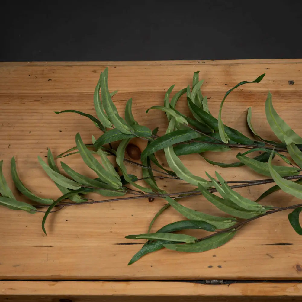 Eucalyptus nicholii spray - Single Stem Flowers