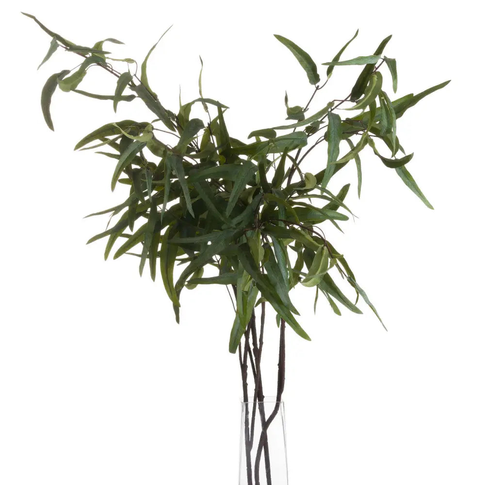 Eucalyptus nicholii spray - Single Stem Flowers