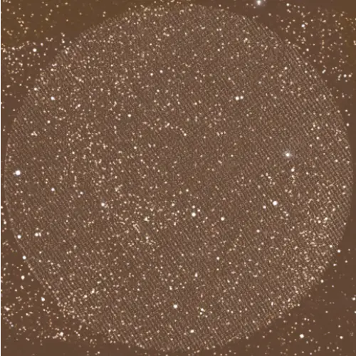 Eyeshadow (talc-free) (glitter) (refill) - Mulch