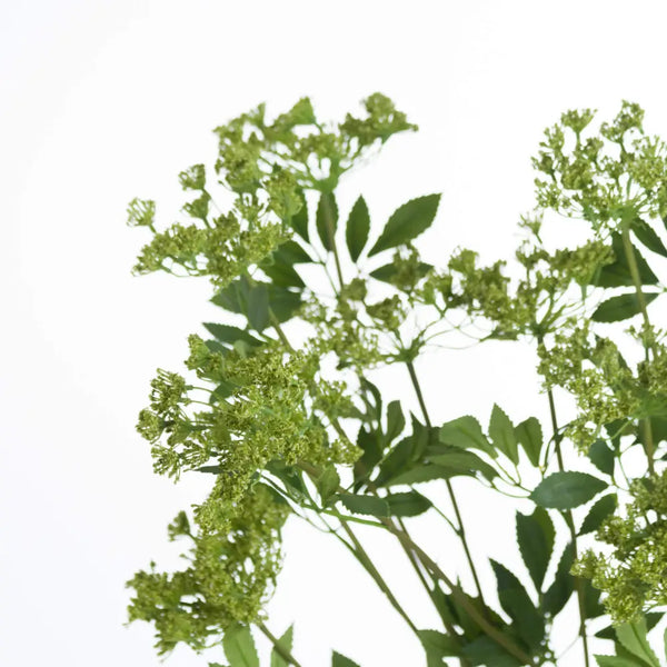 Faux cow parsley ammi - Spring Stems