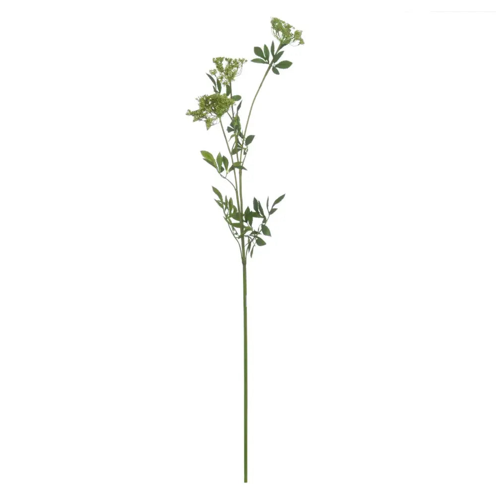 Faux cow parsley ammi - Spring Stems