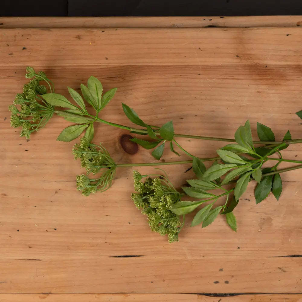 Faux cow parsley ammi - Spring Stems