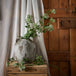 Faux white cow parsley ammi - Single Stem Flowers