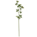 Faux white cow parsley ammi - Single Stem Flowers