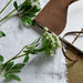 Faux white cow parsley ammi - Single Stem Flowers