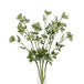 Faux white cow parsley ammi - Single Stem Flowers